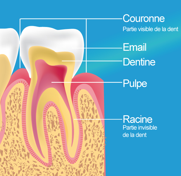 devitalisation dentiste paris 17